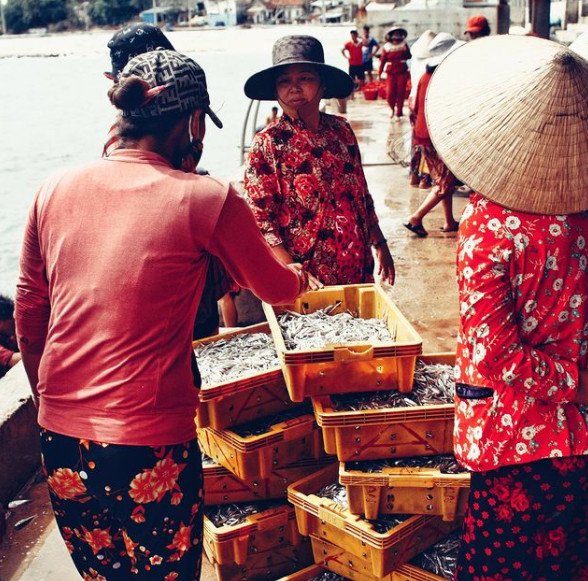 Hoạt động mua bán hải sản tại chợ cá Làng chài Nhơn Lý