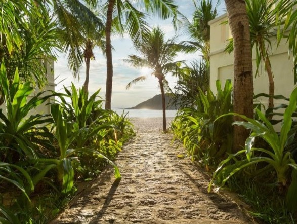 Resort Quy Nhơn với phong cách nhiệt đới - Ảnh: AVANI Quy Nhơn Resort
