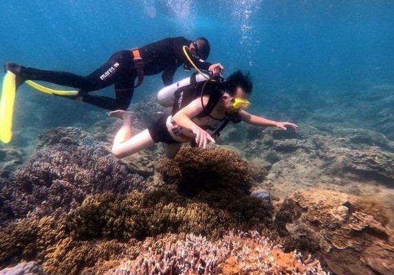 Lặn ngắm san hô ở Kỳ Co - ảnh: sưu tầm