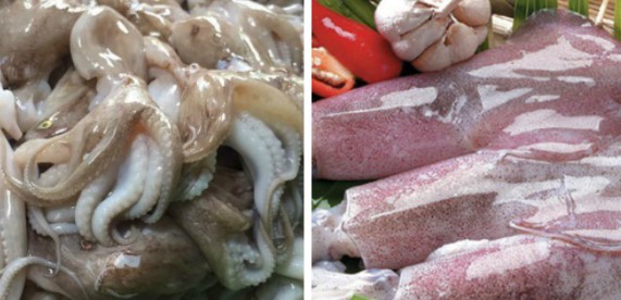 Mực, bạch tuộc là món hải sản thường được thấy trong các bữa ăn của gia đình - Ảnh: Sưu tầm