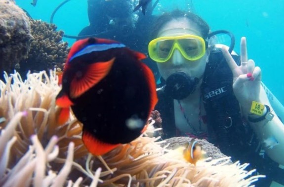 Lặn ngắm san hô ở Kỳ Co thực sự thú vị