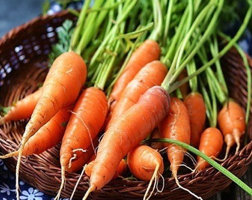 ăn cà rốt sống có tác dụng gì