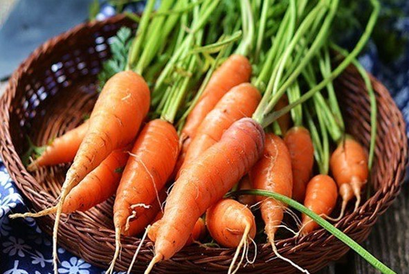 Cà rốt chứa nhiều hàm lượng vitamin A giúp sáng mắt - Ảnh: Sưu tầm
