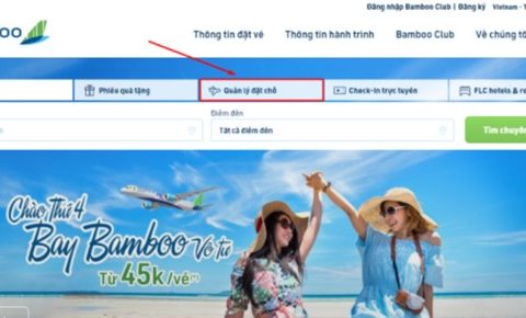 kiểm tra tình trạng chuyến bay vietnam airline